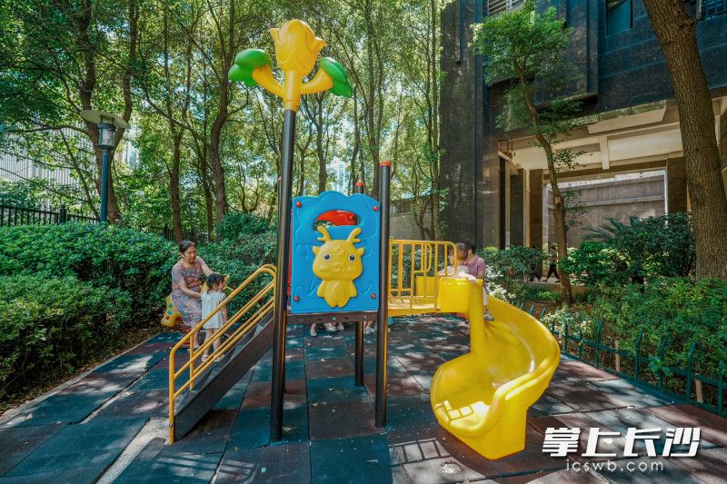 从“矛盾重重”到“和乐融融”，雨花区这个小区有个“红色业委会”