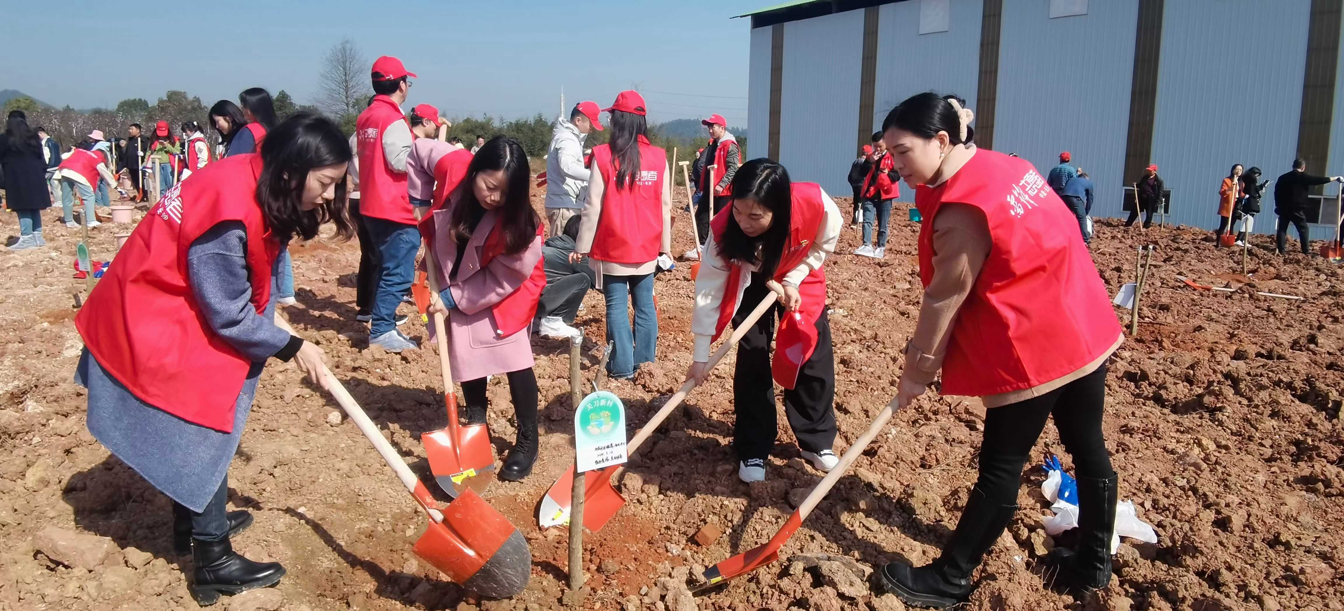 区科协党支部参加“我在绿心有棵树”  植树护绿活动